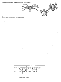 spiders1.pdf